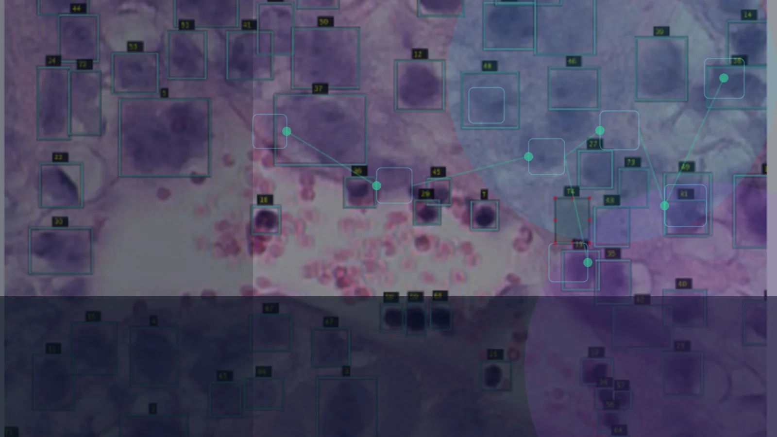 From Whole-Slide Images To Biological Structure: My Oxford DPhil In Medical AI